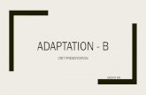 Adaptation Final Crit