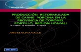 Produccion Reformulada de Carne Porcina en La Provincia de Coronel Portillo, Region Ucayali
