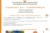 CAP 14 - REVISADO - Comp Organizacional.ppt