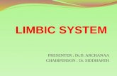 Limbic Sys - Arch