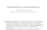 K 19 20 Metabolism Regulation
