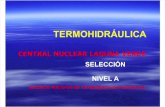 Termohidraulica CLV seleccion nivel A