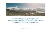 Developing Nepals Hydroelectric Resources - Policy Alternatives