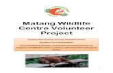 Matang Volunteer Project