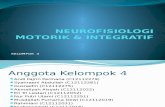 NEUROFISIOLOGI (KLMPK 4)