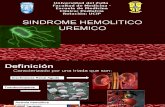 Diapositivas de Sindrome Uremico