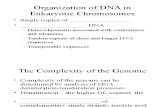 BIOL 3301 - Genetics Ch10D - DNA Organization 08 St