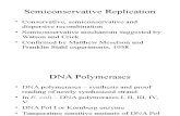 BIOL 3301 - Genetics Ch11A - Replication of DNA in Prokaryotes 08 St