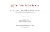 ELEC 6411 - Project Final Report Final