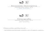 Economía Descriptiva - IV y V