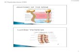Current Concepts in Lumbar Spine