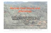Normal Heat Hours and Phenology