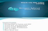 Oracle 11g ADF Online Training