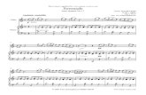 Serenade Du Quatuor Pour Corde N17 Opus 3 N5