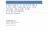 project Report on Business at the Base of Pyramid