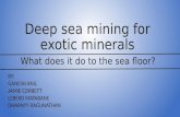 Deep Sea Mining Presentation