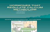 Hormone Regulates Calcium