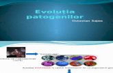 Evoluția patogenior