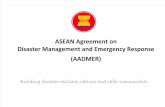 6. ASEAN Agreement on Disaster Management and Emergency Response
