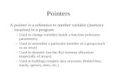 Pointeri Programare C