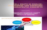 Cell Death in Disease