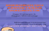 Mikrobiologi Kedokeran Diagnostik, Drg Depi