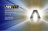 Ansys Workbench Dynamics v11