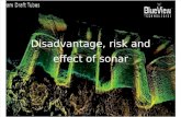 Disadvantage, Risk and Effect of Sonar Presentation