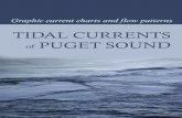 Tidal Currents Puget