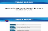 TBEA Shandong Cable
