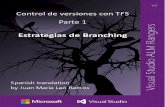 Control de Versiones Con TFS Parte 1- Estrategias de Branching