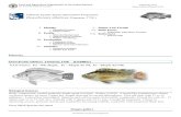 FIGIS Document - Cultured Aquatic Species Information Programme FAO