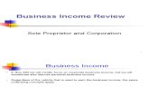 Business Income Review