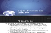 Chapter 15 Capital Structure and Leverage