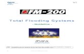 Guideline for TSP FM200 Systems Rev6.pdf