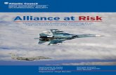 Alliance at Risk 2016