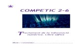 COMPETIC 2 C6.pdf