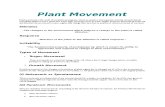 Plant Movement