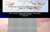 Medicina I - Neurofisiología Del Dolor