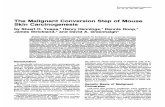 30 the Malignant Conversion Step of Mouse Skin Carcinogenesis