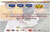MANUAL COMANDO INCIDENCIA LARA - copia.pdf