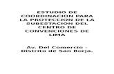 Informe CC Lima - Estudio de Coordinación New