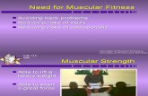 11 - Muscular Fitness
