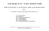 Serban Nichifor: Transylvanian Bluegrass (Score & Parts)