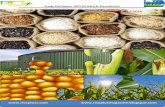 12th February,2016 Daily Exclusive ORYZA Rice E-Newsletter by Riceplus Magazine