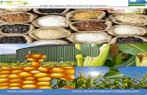 27th January ,2016 Daily Exclusive ORYZA Rice E-Newsletter by Riceplus Magazine