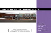 WPI - Pedestrian Bridge Study