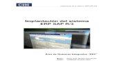 Implantación Del Sistema ERP-SAP