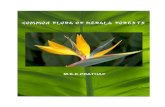 Flora of Kerala