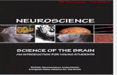 LIVRO Neuroscience Science of the Brain